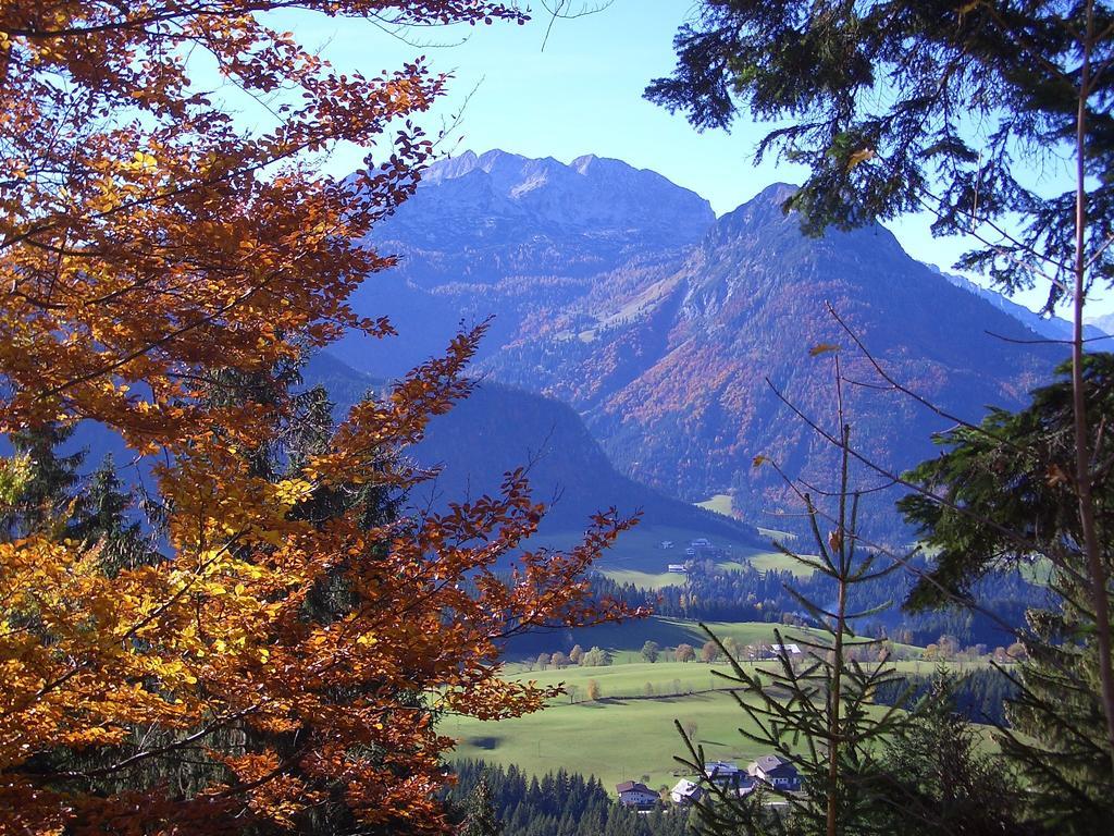 Hausmenneweger Daire Annaberg im Lammertal Oda fotoğraf