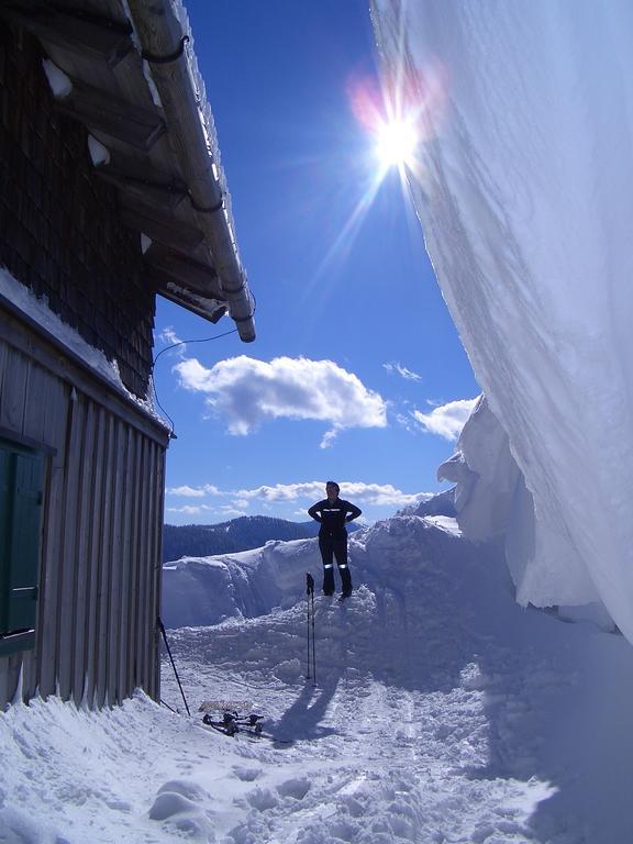 Hausmenneweger Daire Annaberg im Lammertal Oda fotoğraf