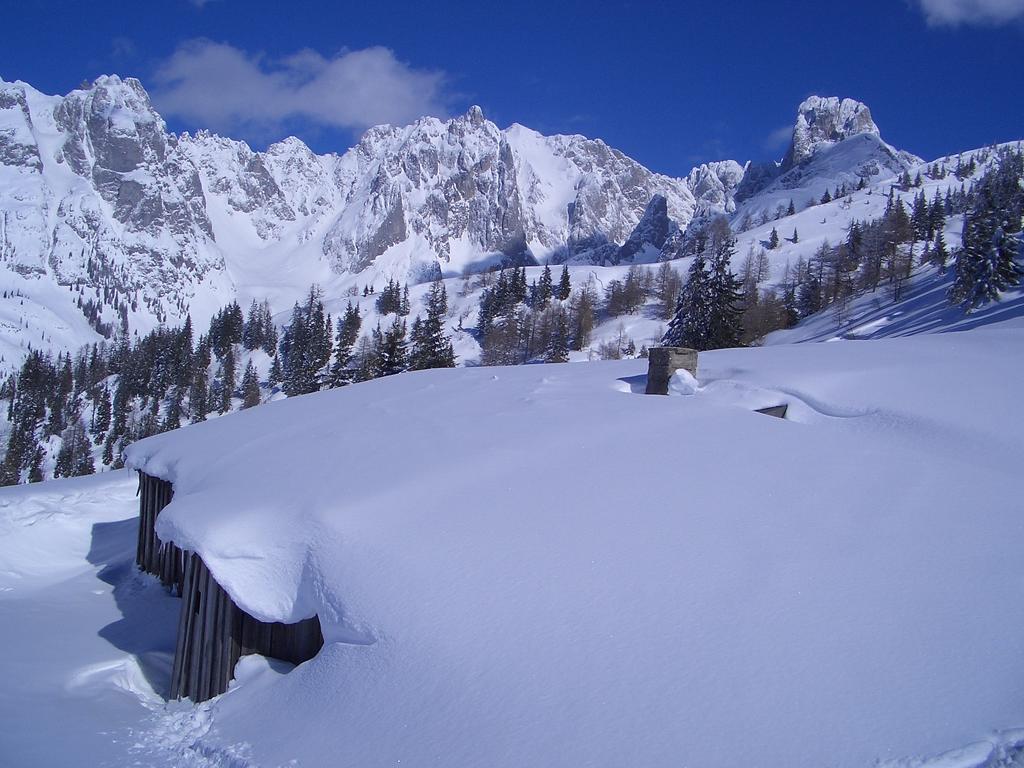 Hausmenneweger Daire Annaberg im Lammertal Oda fotoğraf