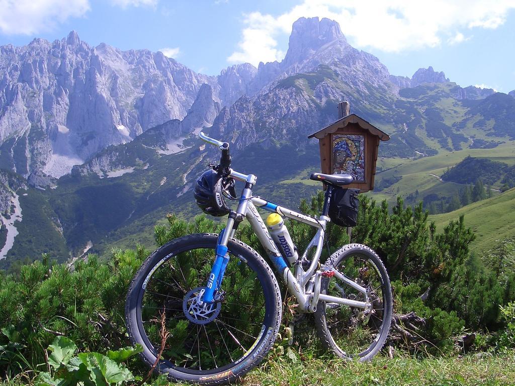 Hausmenneweger Daire Annaberg im Lammertal Oda fotoğraf