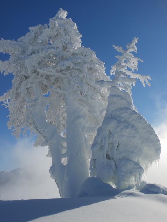 Hausmenneweger Daire Annaberg im Lammertal Dış mekan fotoğraf